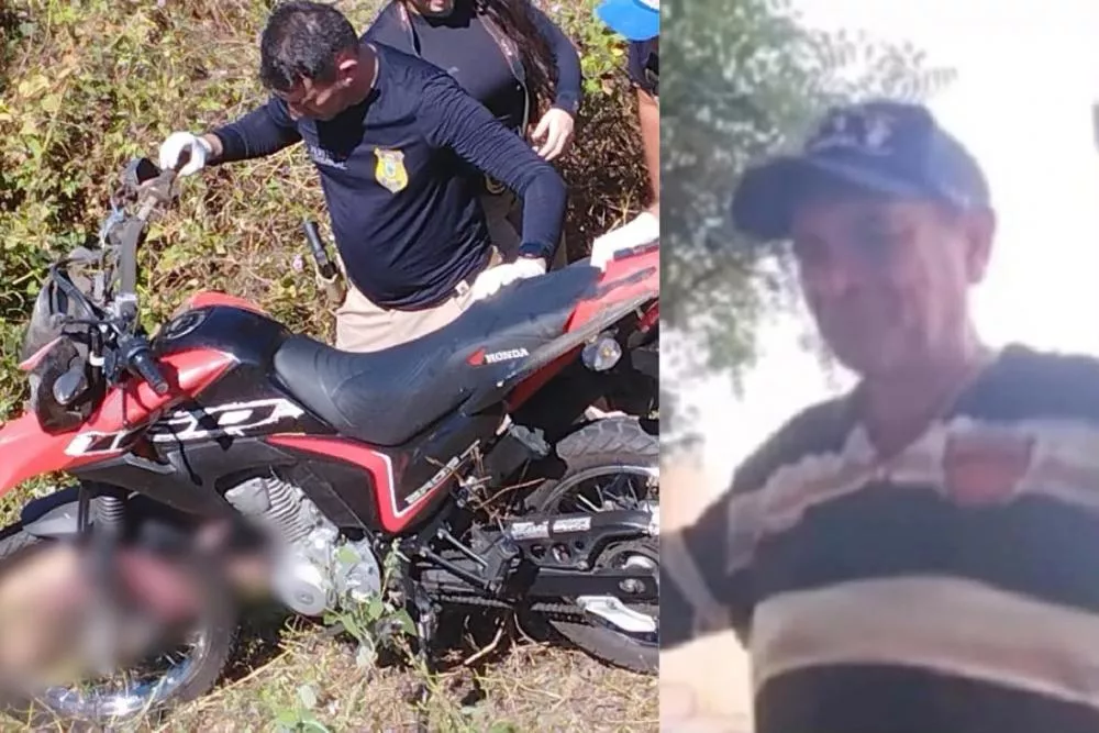 Fotos: Polícia Civil/Reprodução