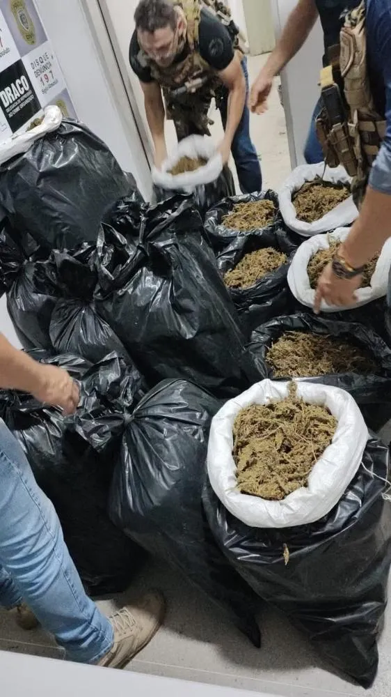Draco intercepta veículo e apreende mais de 300 kg de maconha no Cariri