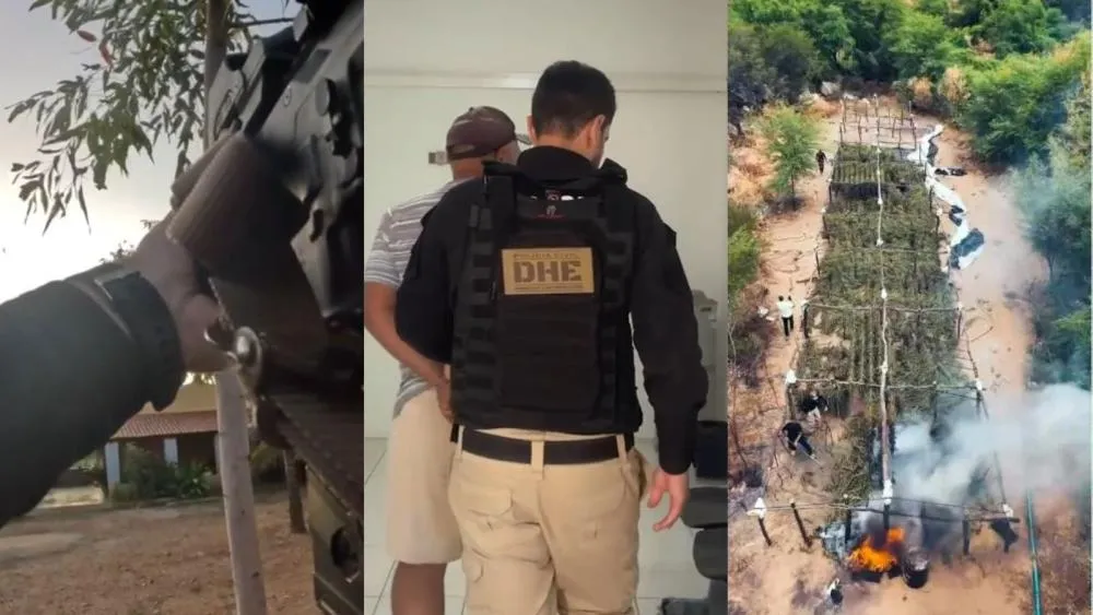 OPERAÇÃO IGNITE: DHE de Patos prende chefe e integrantes de esquema que mantinha 200 mil pés de maconha no Sertão