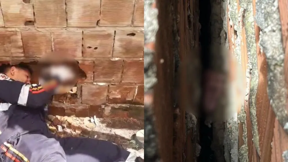 Recém-nascido é encontrado abandonado com placenta e quadro de hipotermia no Litoral Sul da Paraíba