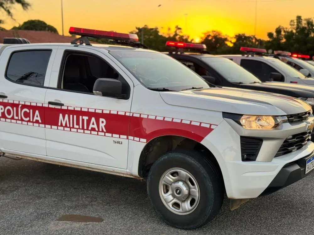 Polícia Militar salva recém-nascida de oito dias após engasgamento em Teixeira